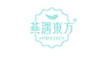 燕遇东方