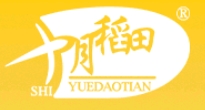十月稻田