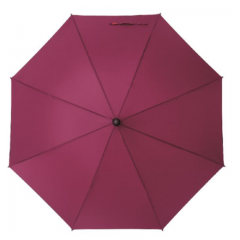 红叶 直杆伞 1672