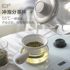 小熊（Bear）煮茶器 0.8L ZCQ-A08E1（03品号）