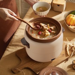 小熊（Bear）电炖锅 4.0L DDG-D40X9