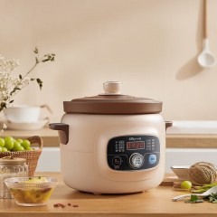 小熊（Bear）电炖锅 4.0L DDG-D40X9
