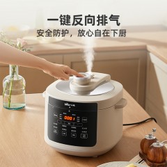 小熊（Bear）压力煲 5L YLB-N50H6 触控 双胆