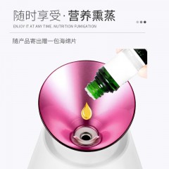金稻 冷热喷蒸脸器（可香薰）KD232 300W