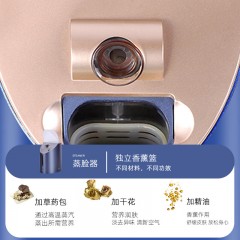 金稻 八功能蒸脸仪 KD2310 280W