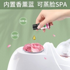 金稻 中草药热喷 K33S 350W