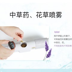 金稻  冷热喷蒸脸 K2338SA  650W