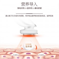 金稻 导入导出美容仪 KD9960 5W