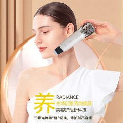 金稻 多功能双头美容仪 KD8086 12W