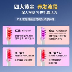 金稻 育发梳 KD3806 6W