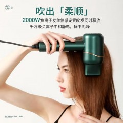 金稻 负离子吹风机 KD318 1600W