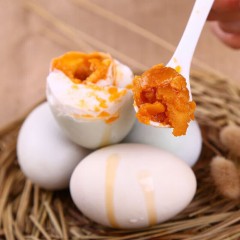 集味轩 粽情四海 粽子礼盒 1460g