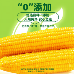 十月稻田 鲜食黄糯玉米 1.32kg（220gX6）