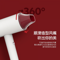 艾优 负离子吹风机 PF7