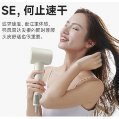 徕芬 高速吹风机SE LF03-SE