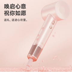 徕芬（LEIFIN）新一代高速吹风机 LF03