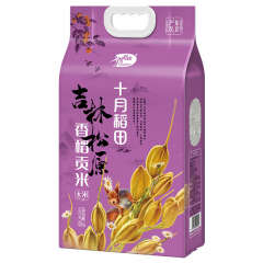 十月稻田 香稻贡米 5kg