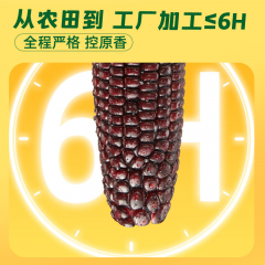 十月稻田 黑糯玉米 1.76kg