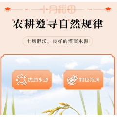 十月稻田 五常糙米 500g