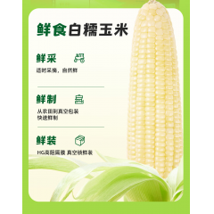 十月稻田 白糯玉米礼盒 2.08kg