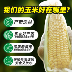 十月稻田 白糯玉米 2.08kg