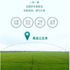 十月稻田 五常糙米 500g