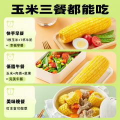十月稻田 黄糯玉米 1.76kg