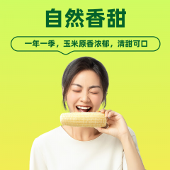 十月稻田  鲜食玉米 2.2kg