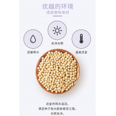 十月稻田 黑龙江黄豆 500g