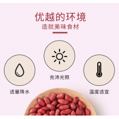 十月稻田 扶余花生米 500g