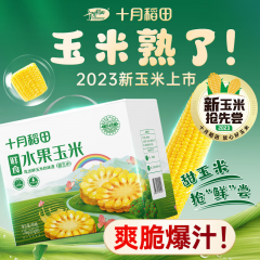 十月稻田 水果玉米（甜玉米）1.76kg