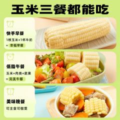 十月稻田 白糯玉米 2.08kg