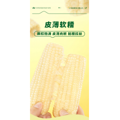 十月稻田 白糯玉米礼盒 2.08kg