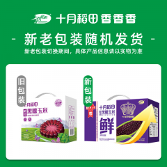 十月稻田 鲜食黑糯玉米 1.6kg