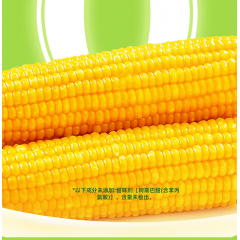 十月稻田 鲜食白糯玉米 1.56kg