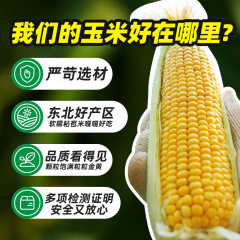 十月稻田 黄糯玉米 1.76kg