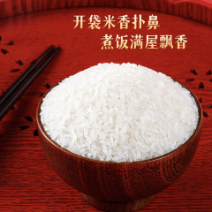 十月稻田 五常稻香米5kg 礼盒凤凰 （包装2）
