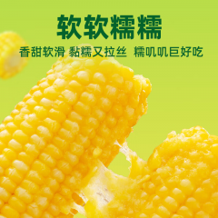 十月稻田 鲜食黄糯玉米 1.32kg（220gX6）