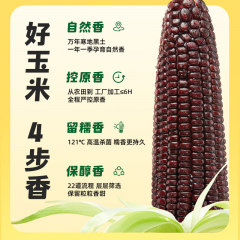 十月稻田 黑糯玉米 1.76kg