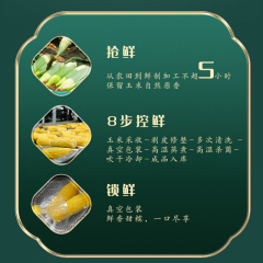 柴火大院 五常鲜食玉米 1.76kg