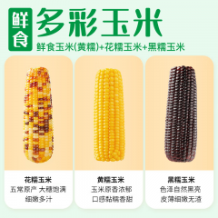 十月稻田 多彩玉米 2.14kg