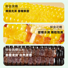 十月稻田 多彩玉米 2.14kg