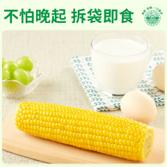十月稻田 水果玉米（甜玉米）1.76kg