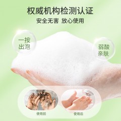 蔬果园 SukGarden 茶香泡泡洗手液-500ml SGY0149