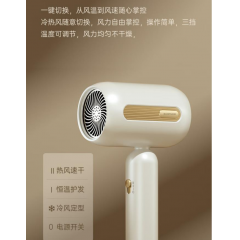 豹牌  高转速电吹风 BP-HD295