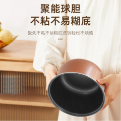 豹牌  多功能电饭煲  5L  BP-WB166