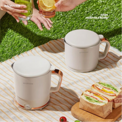 豹牌  便携式电热水壶   800ml  BP-4122