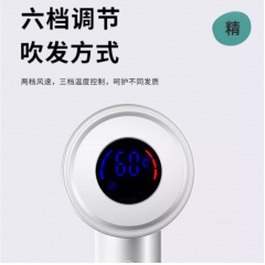 豹牌  负离子高速电吹风 BP-HD308