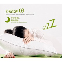 花花公子 舒享空气棉对枕  48cm*74cm  两只 H3DZ06