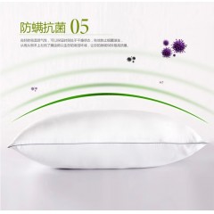 花花公子 舒享空气棉对枕  48cm*74cm  两只 H3DZ06